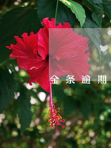 金条逾期多久会寄邮件到家里 金条逾期多久会寄邮件到家里