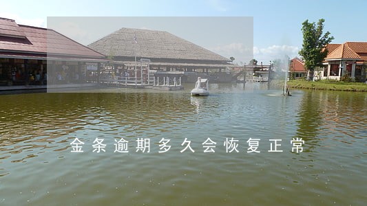 金条逾期多久会恢复正常 金条逾期多久会恢复正常