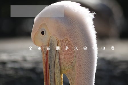 金条逾期多久会打电话 金条逾期多久会打电话