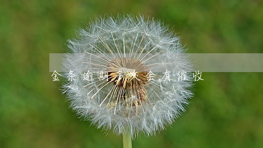 金条逾期多久会有催收 金条逾期多久会有催收