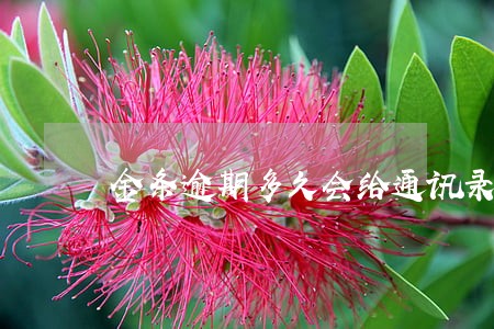 金条逾期多久会给通讯录打电话 金条逾期多久会给通讯录打电话