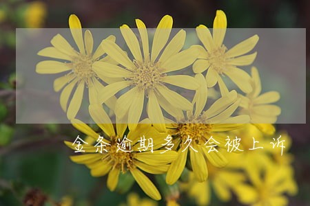 金条逾期多久会被上诉 金条逾期多久会被上诉