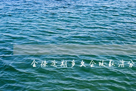 金条逾期多久会被取消分期 金条逾期多久会被取消分期
