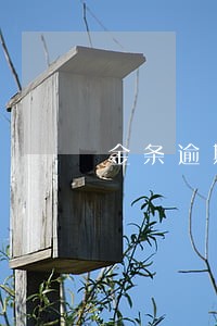 金条逾期多久会要求还全款
