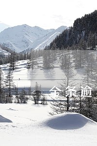金条逾期多久再次借钱 金条逾期多久再次借钱