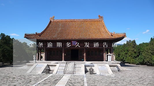 金条逾期多久发通告函