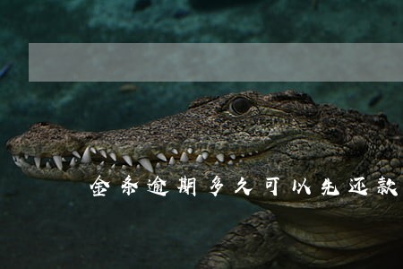 金条逾期多久可以先还款 金条逾期多久可以先还款