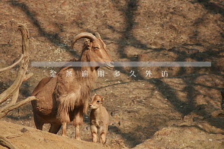 金条逾期多久外访 金条逾期多久外访