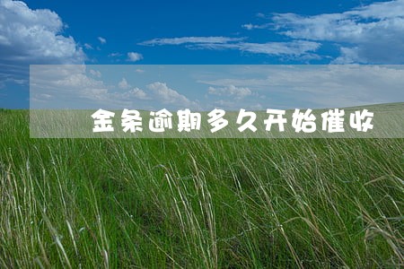 金条逾期多久开始催收 金条逾期多久开始催收