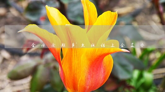 金条逾期多久征信上会显示