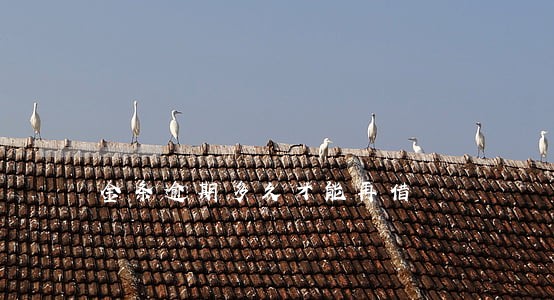 金条逾期多久才能再借 金条逾期多久才能再借
