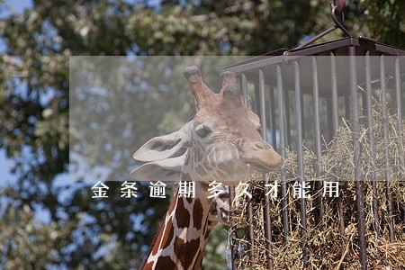 金条逾期多久才能用 金条逾期多久才能用
