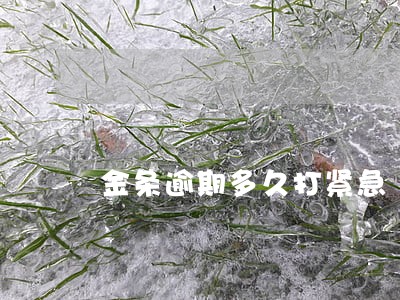 金条逾期多久打紧急 金条逾期多久打紧急