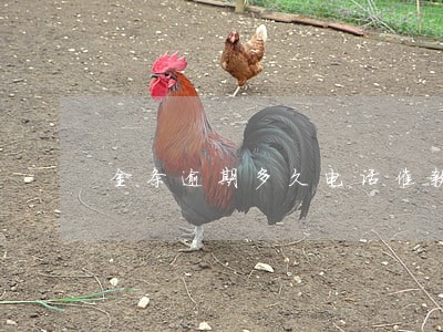 金条逾期多久电话催款 金条逾期多久电话催款
