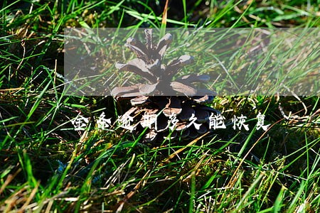 金条逾期多久能恢复 金条逾期多久能恢复