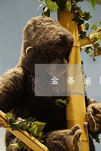 金条逾期多久要还全额还款 金条逾期多久要还全额还款