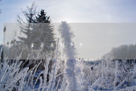 金条逾期多少 金条逾期多少