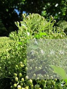 金条逾期多少利息 金条逾期多少利息