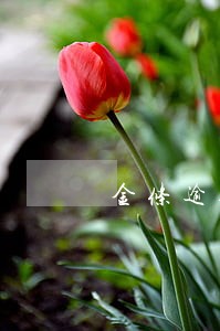 金条逾期多少天上征信 金条逾期多少天上征信