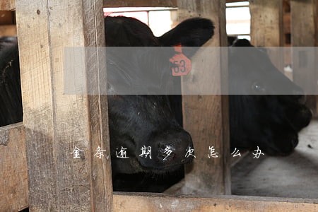 金条逾期多次怎么办 金条逾期多次怎么办