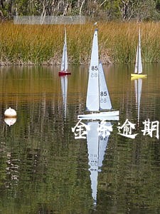 金条逾期天天打电话 金条逾期天天打电话