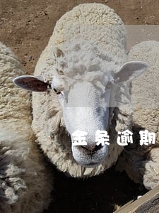 金条逾期失信人 金条逾期失信人