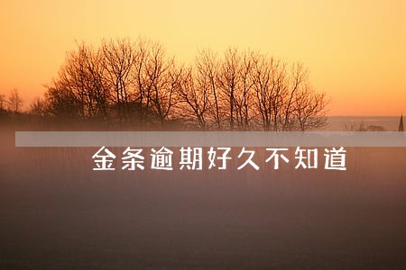 金条逾期好久不知道 金条逾期好久不知道