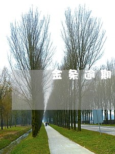 金条逾期如何协商减免 金条逾期如何协商减免