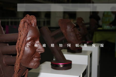 金条逾期如何联系客服 金条逾期如何联系客服