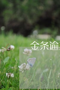 金条逾期如何重新申请 金条逾期如何重新申请