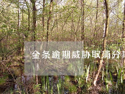 金条逾期威胁取消分期 金条逾期威胁取消分期