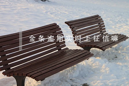 金条逾期实时上征信嘛 金条逾期实时上征信嘛