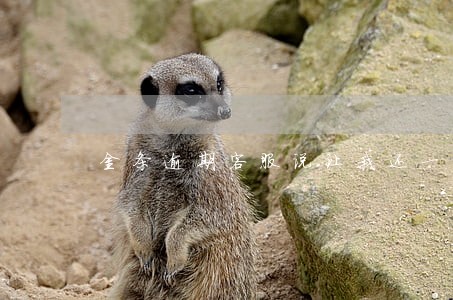 金条逾期客服说让我还一点 金条逾期客服说让我还一点