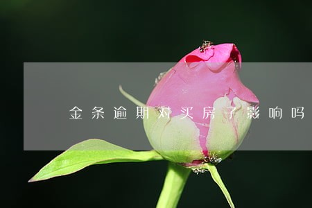 金条逾期对买房子影响吗 金条逾期对买房子影响吗