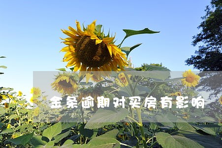 金条逾期对买房有影响 金条逾期对买房有影响