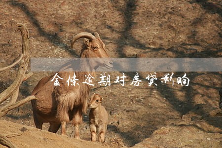 金条逾期对房贷影响 金条逾期对房贷影响