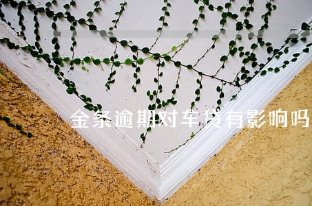 金条逾期对车贷有影响吗 金条逾期对车贷有影响吗