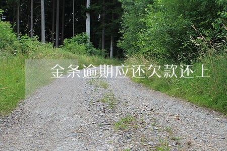 金条逾期应还欠款还上 金条逾期应还欠款还上
