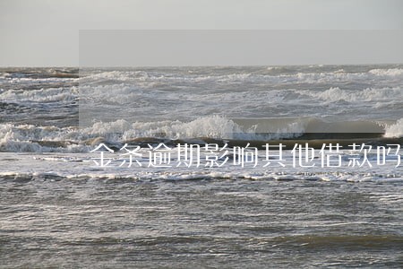 金条逾期影响其他借款吗 金条逾期影响其他借款吗