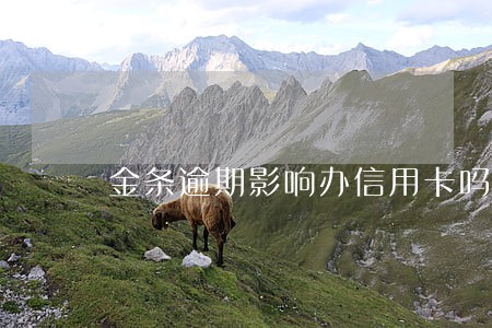 金条逾期影响办信用卡吗 金条逾期影响办信用卡吗