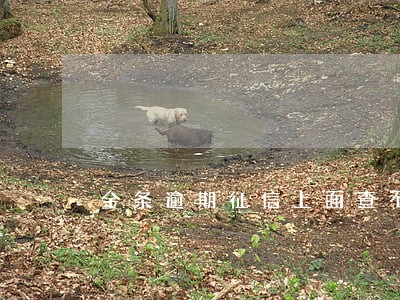 金条逾期征信上面查不到 金条逾期征信上面查不到