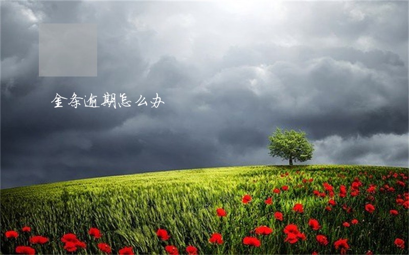 金条逾期怎么办 金条逾期怎么办