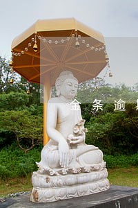 金条逾期怎么协商还款还款 金条逾期怎么协商还款还款