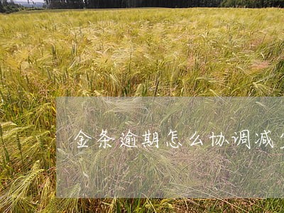 金条逾期怎么协调减少罚息