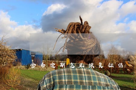 金条逾期怎么恢复征信 金条逾期怎么恢复征信