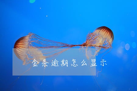 金条逾期怎么显示 金条逾期怎么显示