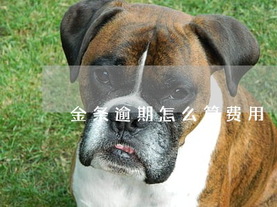 金条逾期怎么算费用