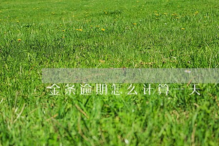 金条逾期怎么计算一天 金条逾期怎么计算一天