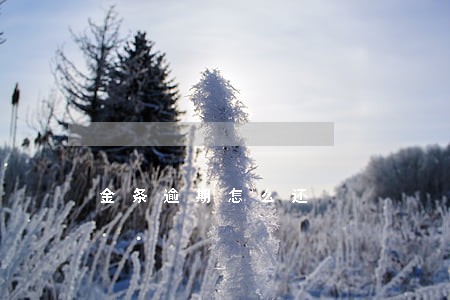 金条逾期怎么还 金条逾期怎么还