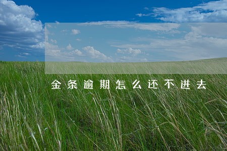 金条逾期怎么还不进去 金条逾期怎么还不进去